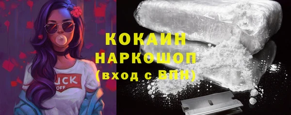 шишки Володарск