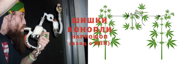 шишки Володарск