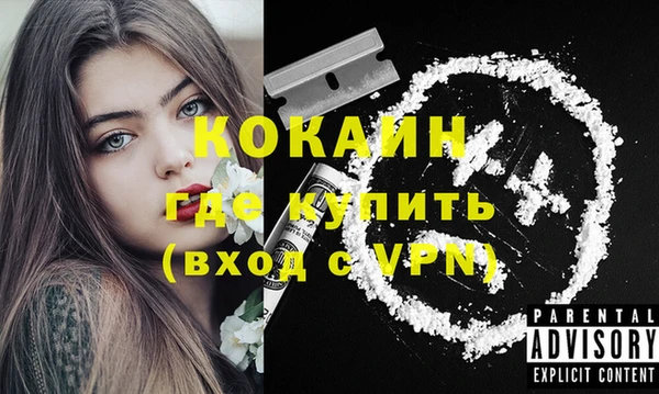 шишки Володарск