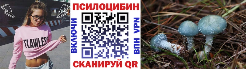 Галлюциногенные грибы MAGIC MUSHROOMS  Чекалин 